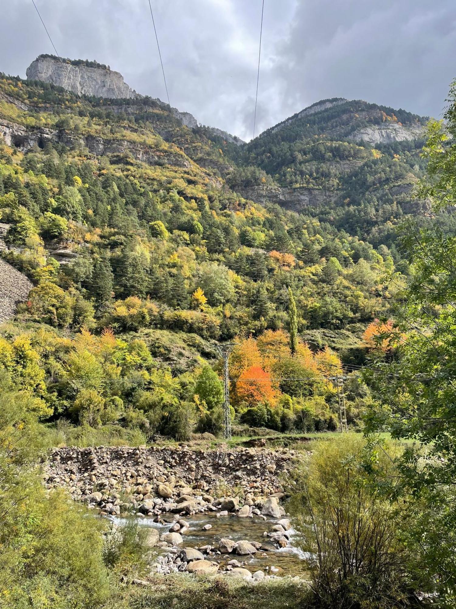 Calmfranc Atico Abuhardillado Con Vistas Al Rio Y La Montana Avistamiento De Ciervos En Canfranc Pueblo מראה חיצוני תמונה